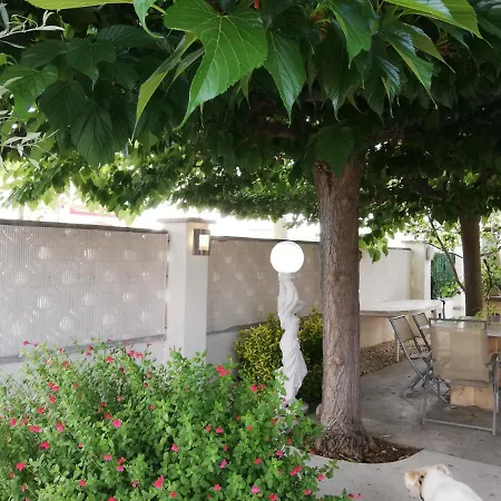 Leones * Empuriabrava