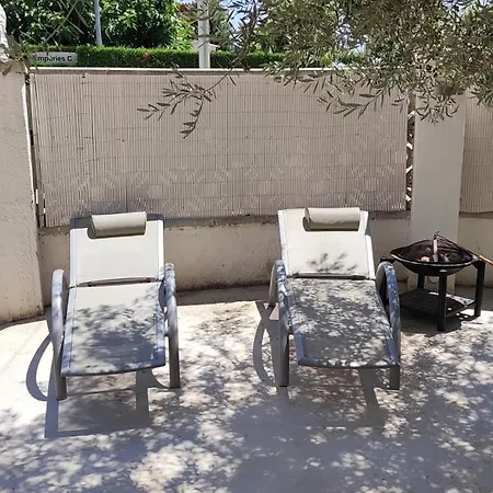 Leones * אמפוריבראבה